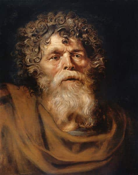 Tête d’un vieil homme – Peter Paul Rubens Peter Paul Rubens 70x85