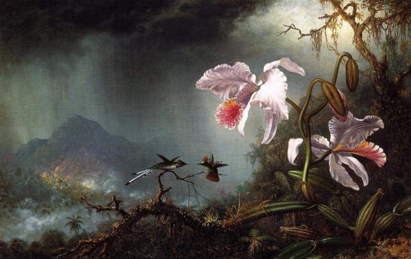 Deux colibris en combat avec deux orchidées – Martin Johnson Heade Martin Johnson Heade 105x70