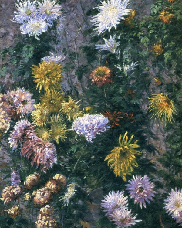 Chrysanthèmes blancs et jaunes – Caillebotte Gustave Caillebotte 70x85