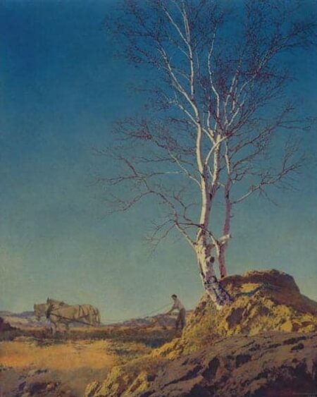 Bouleau blanc – Maxfield Parrish Maxfield Parrish