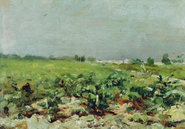 Celeyran, vue sur le vignoble – Toulouse Lautrec Henri de Toulouse-Lautrec 105x70