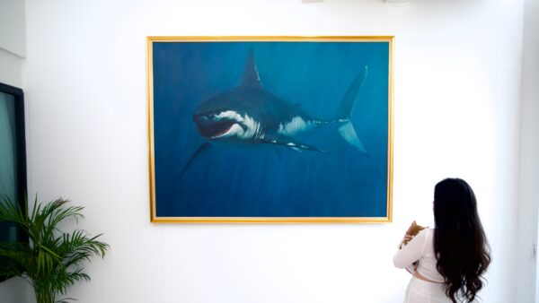 Shark – Somchai | 150 x 200 cm La Galerie d'art en ligne art gallery 3