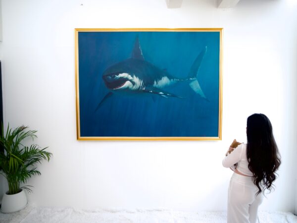 Shark – Somchai | 150 x 200 cm La Galerie d'art en ligne art gallery 4