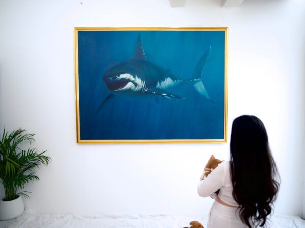 Shark – Somchai | 150 x 200 cm La Galerie d'art en ligne art gallery 2