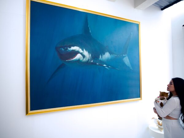 Shark – Somchai | 150 x 200 cm La Galerie d'art en ligne art gallery 8