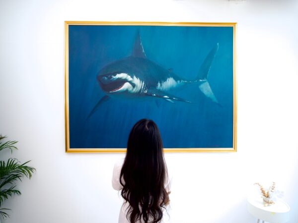 Shark – Somchai | 150 x 200 cm La Galerie d'art en ligne art gallery 9