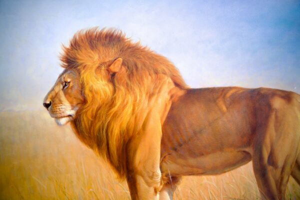 Lion dans la savane – Somchai | 150 x 100 cm La Galerie d'art en ligne art gallery 7