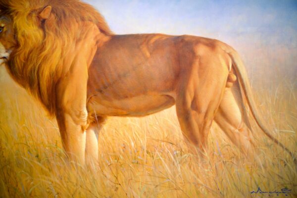 Lion dans la savane – Somchai | 150 x 100 cm La Galerie d'art en ligne art gallery 6