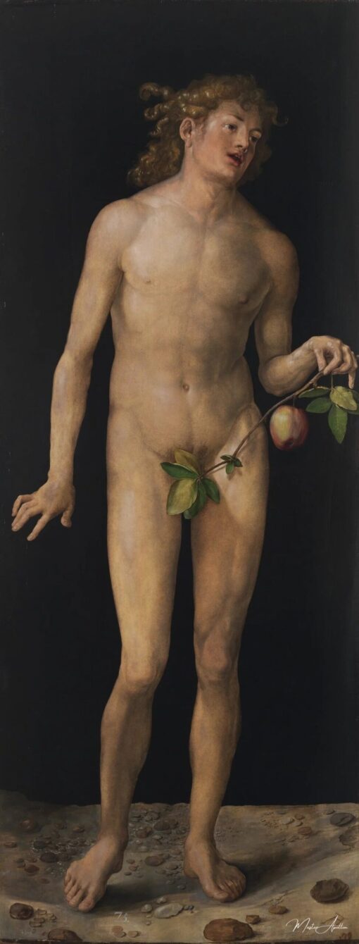 Adam – Albrecht Dürer Albrecht Dürer 2