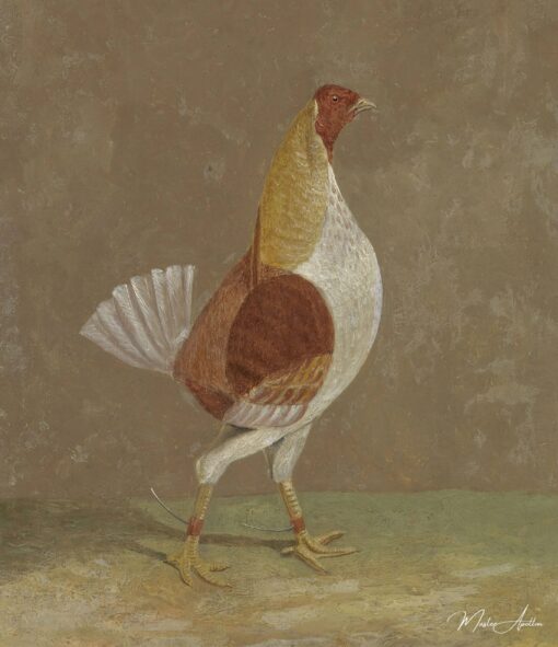 Bites de combat : une bite de combat à la poitrine pâle, orientée vers la droite. – John Frederick Herring Snr John Frederick Herring Sr 2