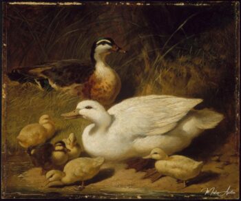 Canards et canetons – John Frederick Herring Snr John Frederick Herring Sr