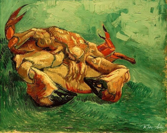 Cancer allongé sur le dos – Van Gogh Vincent Van Gogh