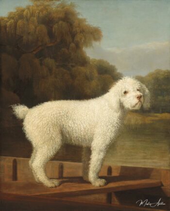 Caniche Blanc dans un Punt – George Stubbs George Stubbs