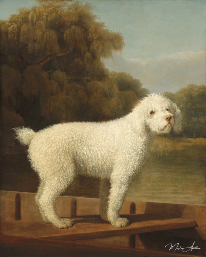 Caniche Blanc dans un Punt – George Stubbs George Stubbs 2