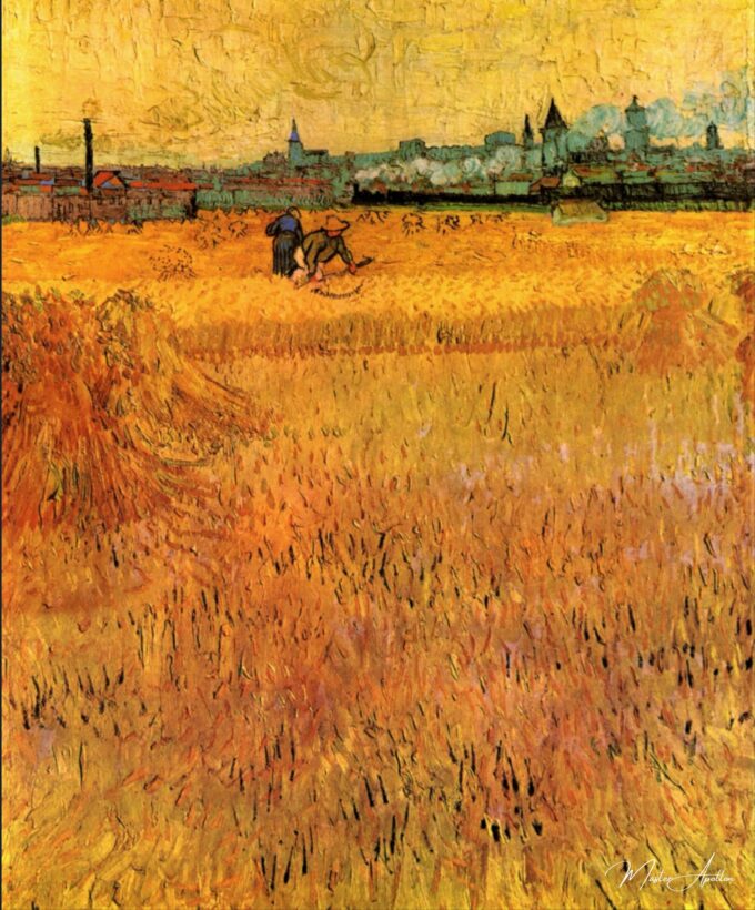 Champ de blé à Arles – Van Gogh Vincent Van Gogh