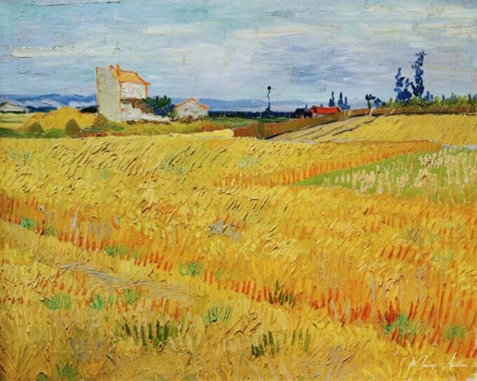 Champ de blé – Van Gogh Vincent Van Gogh