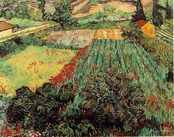 Champs aux coquelicots – Van Gogh Vincent Van Gogh