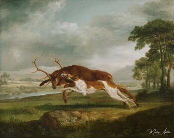 Chien courant sur un cerf – George Stubbs George Stubbs