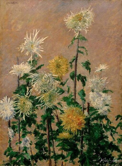 Chrys blanc et jaune – Caillebotte Gustave Caillebotte 2