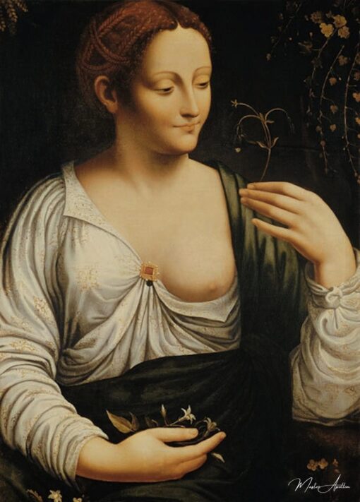 Colombine – Léonard de Vinci Léonard de Vinci