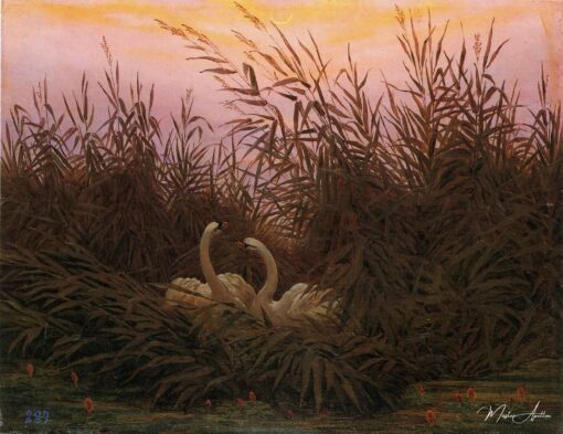 Cygnes dans les roseaux – Caspar David Friedrich Caspar David Friedrich
