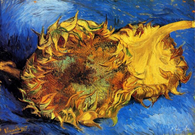Deux tournesols coupés – Van Gogh Série des Tournesols de Vincent van Gogh