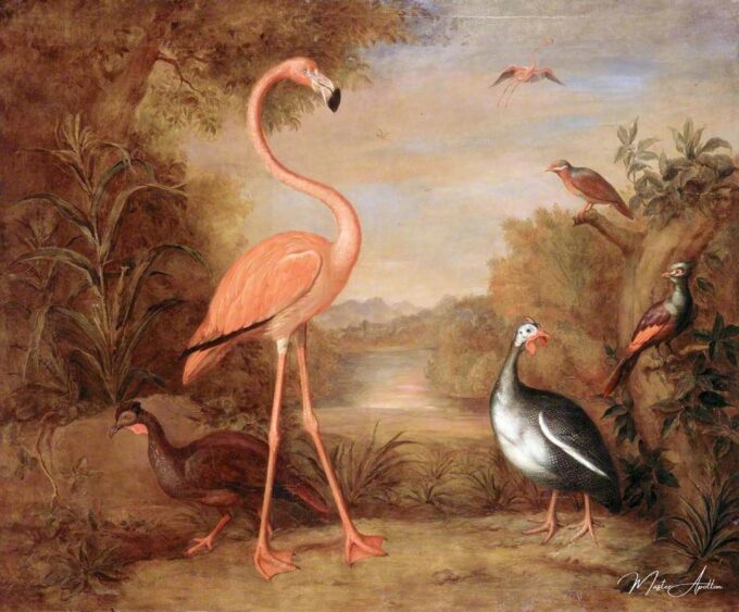 Différents types d’oiseaux (avec un flamant rose) – Tobias Stranover Tobias Stranover 2