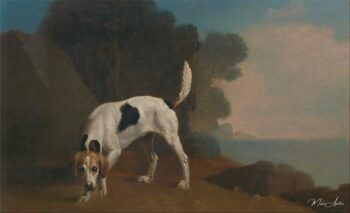 Foxhound – George Stubbs George Stubbs