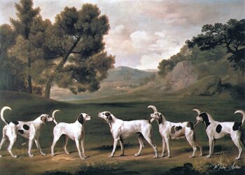 Foxhounds dans un paysage, 1762 – George Stubbs George Stubbs