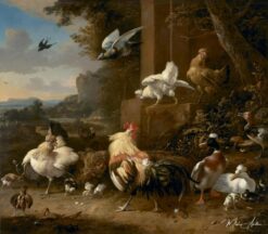 La basse-cour – Melchior d’Hondecoeter Melchior d'Hondecoeter