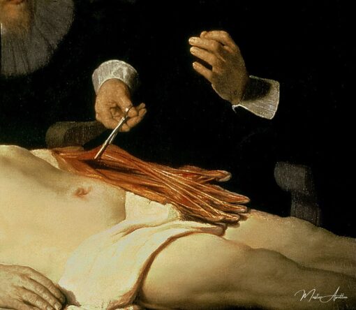 La leçon d’anatomie du Dr Nicolaes Tulp, 1632 (détail de 7543) de Rembrandt van Rijn Rembrandt van Rijn 2