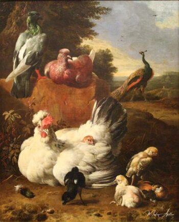 La poule blanche – Melchior d’Hondecoeter Melchior d'Hondecoeter