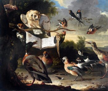 Le concert des oiseaux – Melchior d’Hondecoeter Melchior d'Hondecoeter