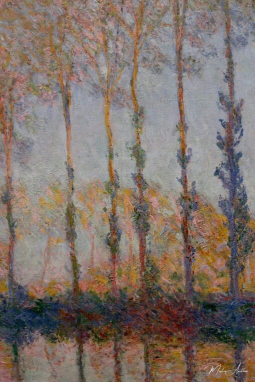 Les Peupliers, effet blanc et jaune – Claude Monet Claude Monet