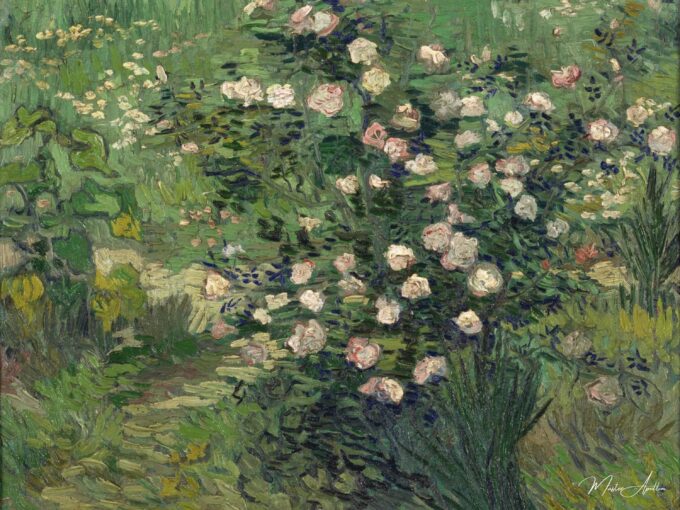 Les roses – Van Gogh Vincent Van Gogh 2