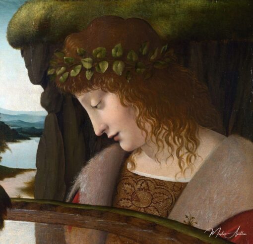 Narcisse – Léonard de Vinci Léonard de Vinci