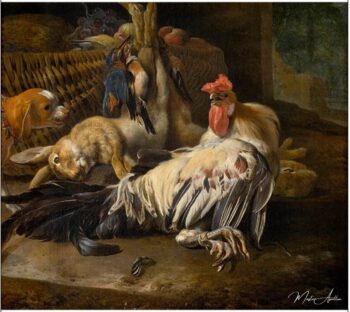 Nature morte avec coq – Melchior d’Hondecoeter Melchior d'Hondecoeter