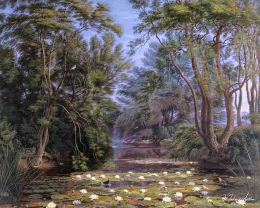 Nénuphars de la rivière Cherwell – William Turner William Turner 2