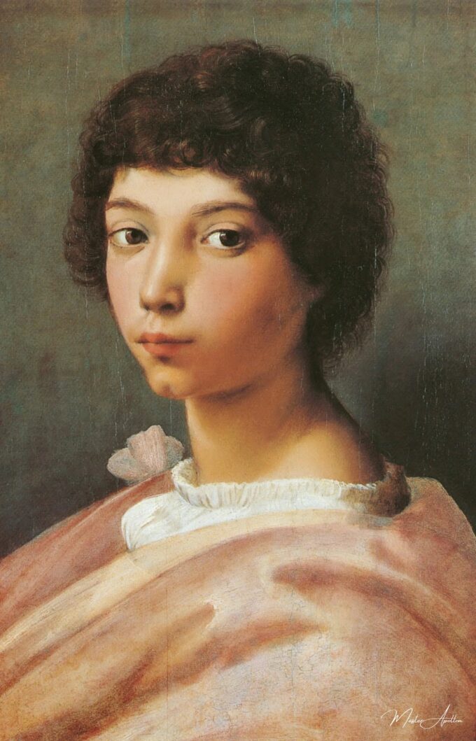 Portrait d’un jeune homme – Raphaël (peintre) Raffaello Sanzio (Raphaël)