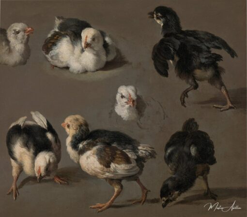 Sept poussins – Melchior d’Hondecoeter Melchior d'Hondecoeter