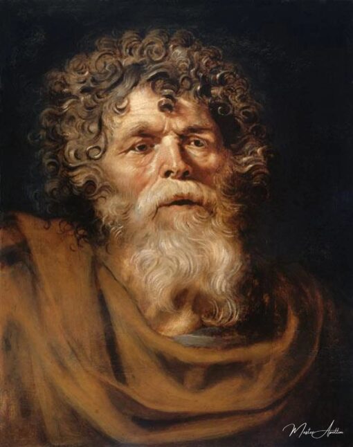 Tête d’un vieil homme – Peter Paul Rubens Peter Paul Rubens