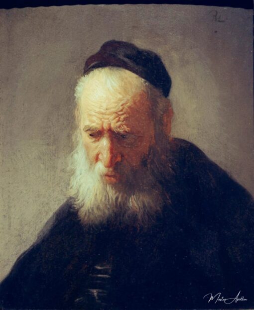 Tête d’un vieil homme – Rembrandt van Rijn Rembrandt van Rijn