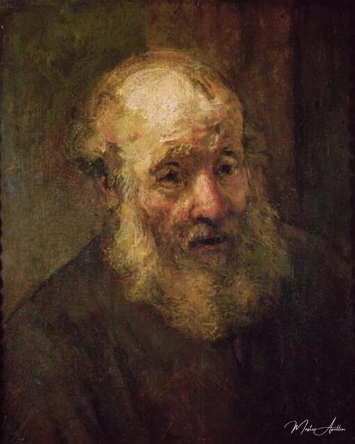 Tête d’un vieil homme, vers 1650 – Rembrandt van Rijn Rembrandt van Rijn
