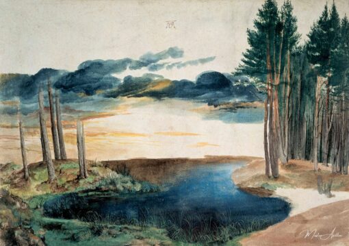 Un étang dans la forêt – Albrecht Dürer Albrecht Dürer