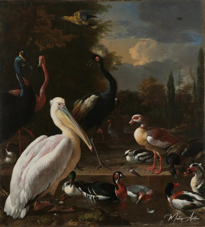 Un pélican et d’autres oiseaux dans une mare, 1680 – Melchior d’Hondecoeter Melchior d'Hondecoeter 2