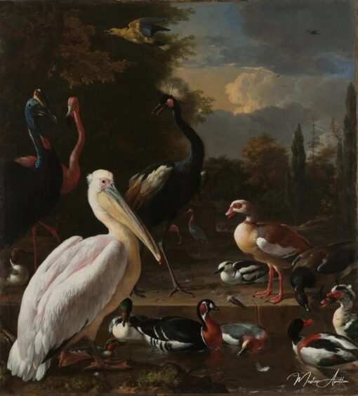 Un pélican et d’autres oiseaux dans une mare, 1680 – Melchior d’Hondecoeter Melchior d'Hondecoeter