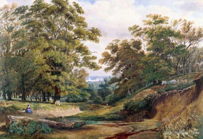 Une scène dans le bois de Bagley près d’Oxford – William Turner William Turner 2