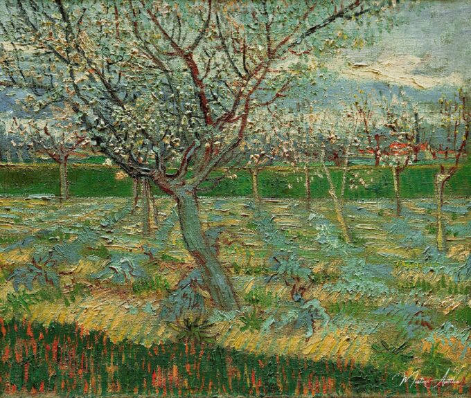 Verger en fleurs – Van Gogh Vincent Van Gogh 2