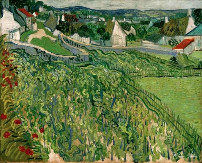 Vignobles d’Auvers – Van Gogh Vincent Van Gogh 2