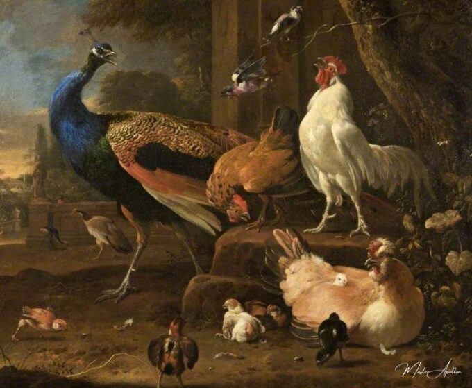 Volaille – Melchior d’Hondecoeter Melchior d'Hondecoeter 2